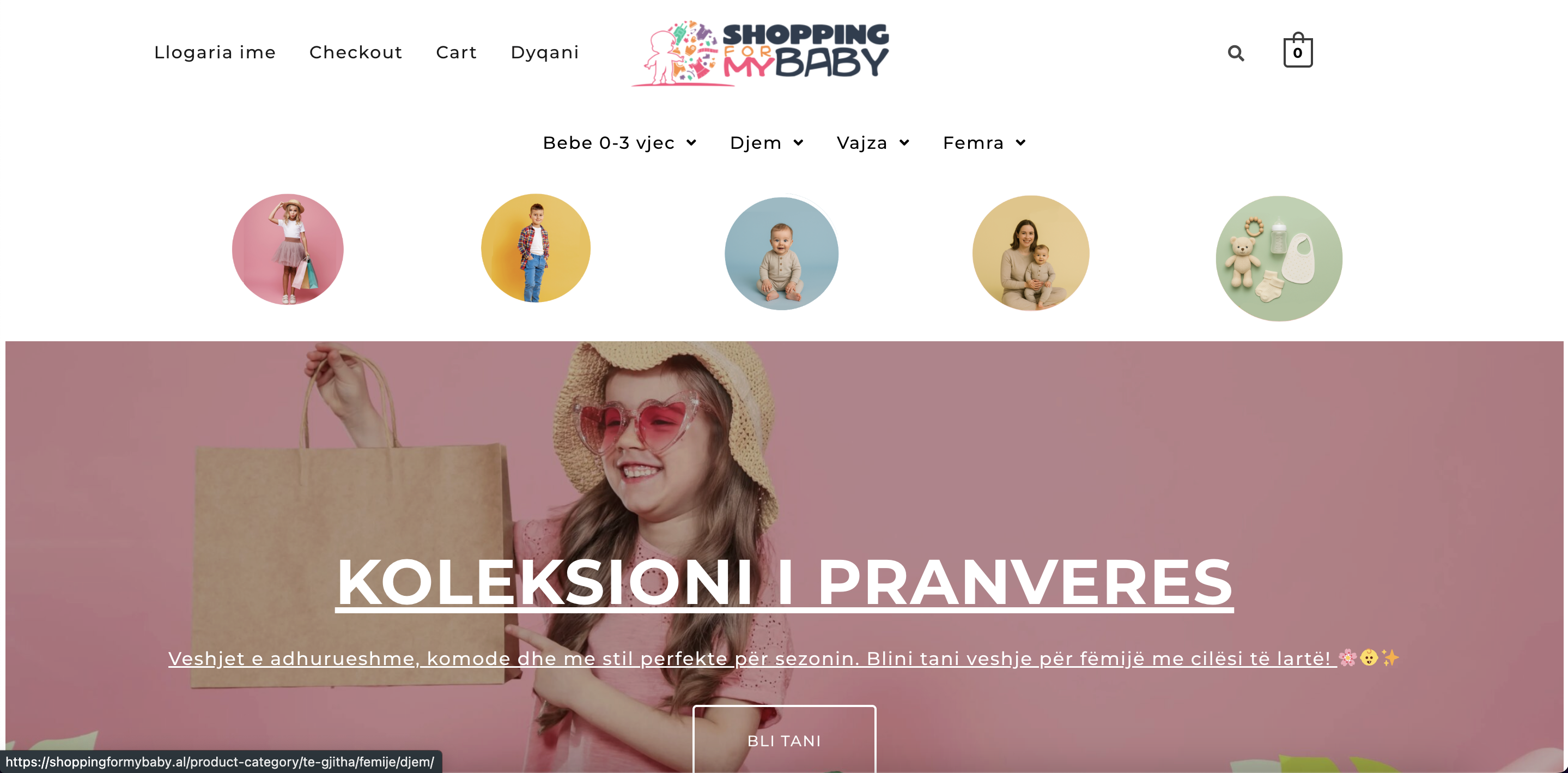 Shopping for My Baby - E-commerce website developed by Loradona Husha - Baby products e-commerce store